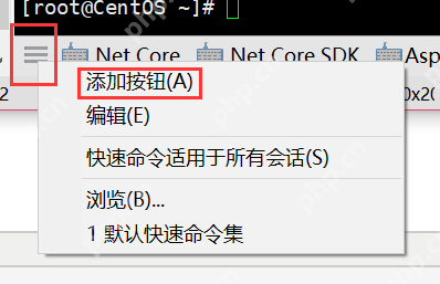 [netcore]CentOS安装使用.netcore极简教程（免费提供学习服务器） 		新生命团队netcore服务器免费开放计划