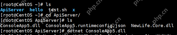 [netcore]CentOS安装使用.netcore极简教程（免费提供学习服务器） 		新生命团队netcore服务器免费开放计划