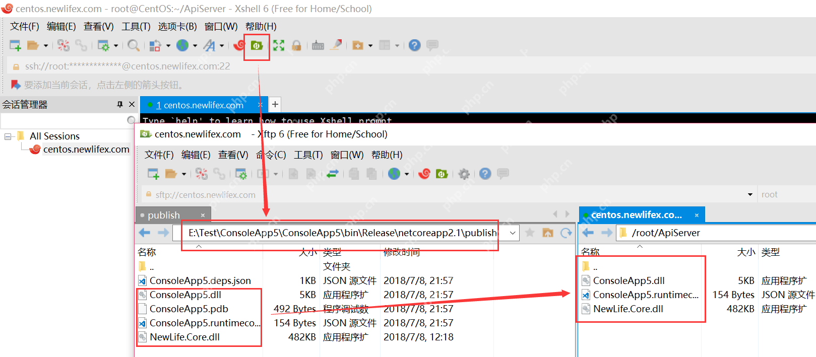 [netcore]CentOS安装使用.netcore极简教程（免费提供学习服务器） 		新生命团队netcore服务器免费开放计划