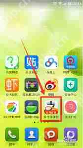 支付宝登录记录查看位置