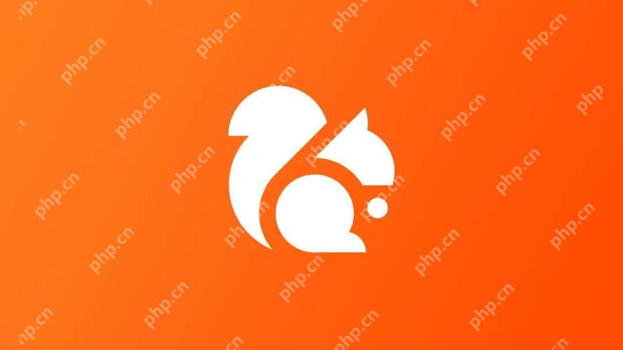 uc浏览器手机缓存的视频怎么导出