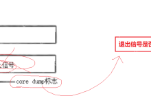 【linux学习指南】Linux进程信号产生(三) 硬件异常&&除零出错？&&野指针异常？&&core文件