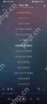 網(wǎng)易云音樂(lè)如何查看歌詞內(nèi)容