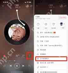网易云音乐如何查看歌词内容 - 小浪云数据