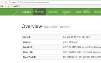 Pembinaan kluster yang diedarkan pseudo Hadoop