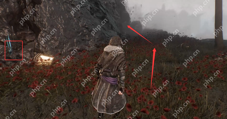 光与影33号远征队唱片全收集 古斯塔夫