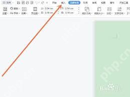 WPS2008中如何插入表格