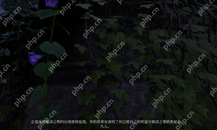上古卷轴4重制版虎人之环怎么获得