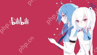 哔哩哔哩缓存的视频在哪里