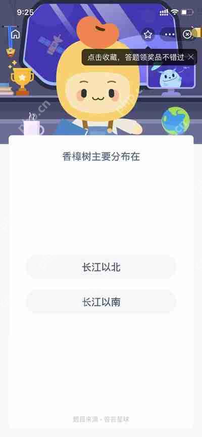 香樟树主要分布在长江以南吗