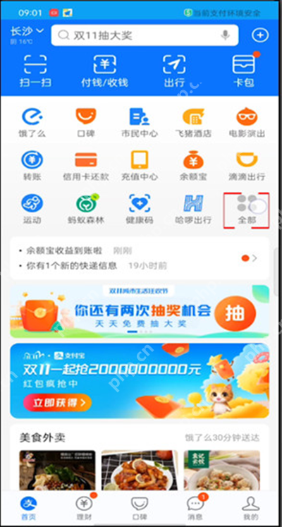 支付宝违章怎么查询