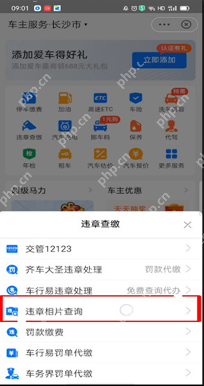 支付宝违章怎么查询