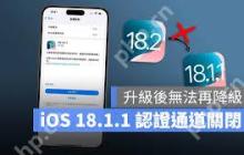 iOS18关闭验证通道