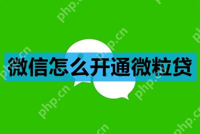 微信怎么开通微粒贷