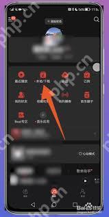 网易云音乐如何设置铃声授权