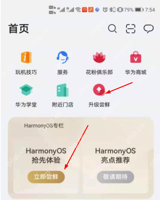 P40和P40Pro如何在我的华为当中如何升级鸿蒙系统