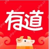 电脑翻译软件有哪些 免费的实用的翻译软件推荐