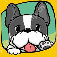 2022最靠谱的宠物托运平台推荐 性价比超高的宠物托运软件