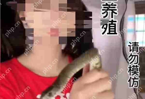 抖音魔蛇之拥是什么梗