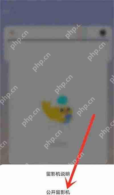 戏鲸如何公开pia戏留影机