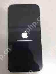 iphone12pro密码忘记