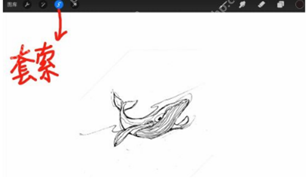 procreate怎么调整局部位置