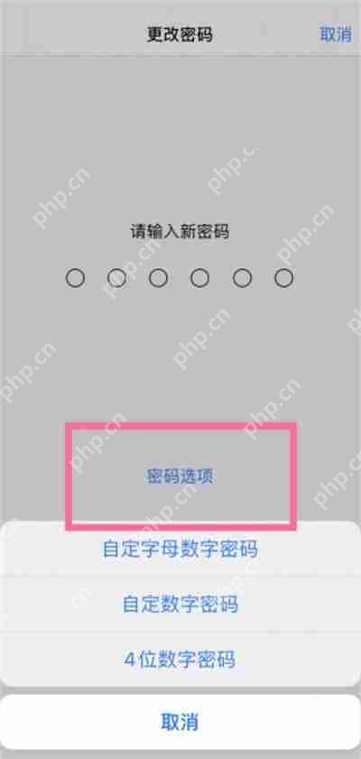 iPhone13系列怎么使用四位数密码