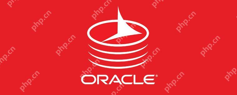 利用ETL工具实现Oracle数据库与其他数据源的集成