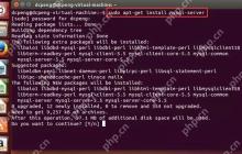在Ubuntu14.04中如何安装mysql