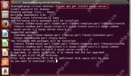 在Ubuntu14.04中如何安装mysql