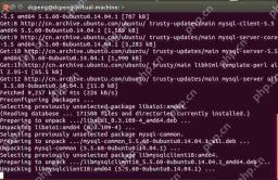 在Ubuntu14.04中如何安装mysql