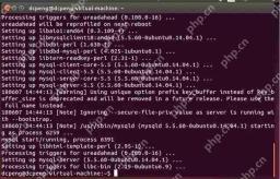 在Ubuntu14.04中如何安装mysql