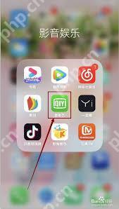 手机看爱奇艺视频如何去除水印