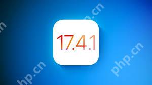 iOS17.3.1开放验证通道