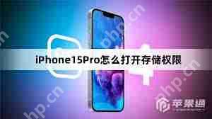 蘋果iPhone15如何開啟存儲權(quán)限