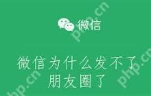 为什么微信朋友圈无法发布视频