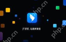 钉钉如何重置密码