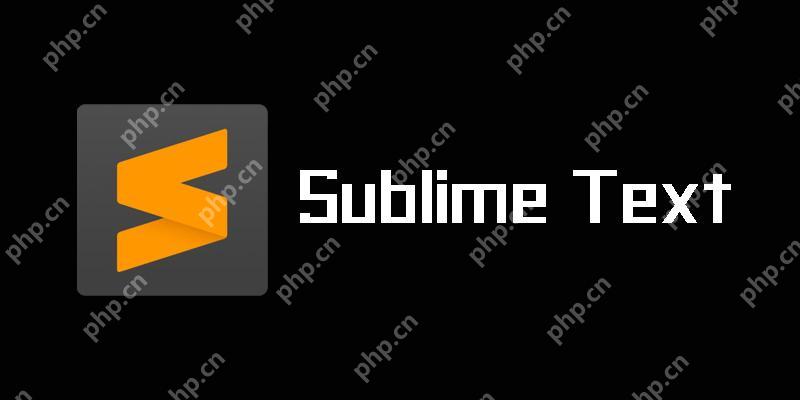 验证SublimeText插件安全性的有效途径-小浪学习网