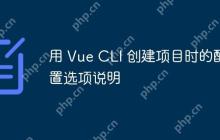 用 Vue CLI 创建项目时的配置选项说明