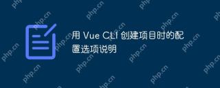 用 Vue CLI 创建项目时的配置选项说明