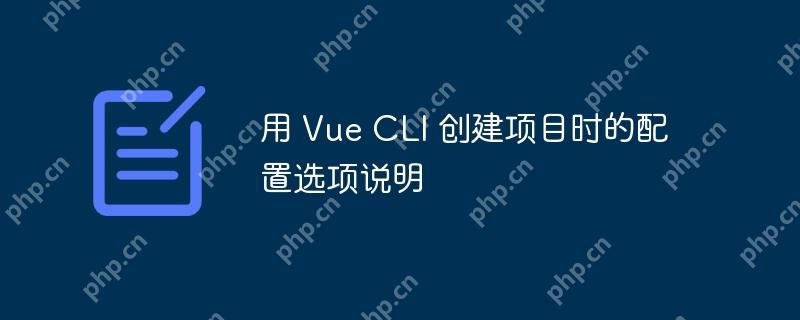 用 Vue CLI 創建項目時的配置選項說明-小浪學習網