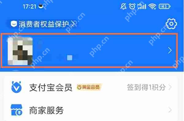支付宝怎么查看聊天时收藏的记录