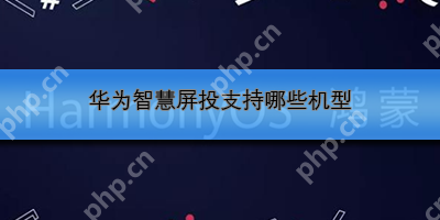 华为智慧屏投支持哪些机型