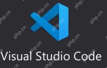 在VSCode中编写和测试SQL代码的技巧