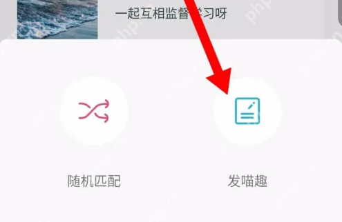 随喵app怎么发动态 随喵app发动态方法