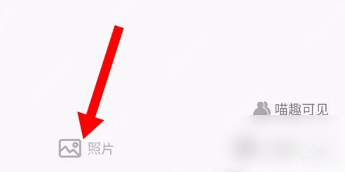 随喵app怎么发动态 随喵app发动态方法