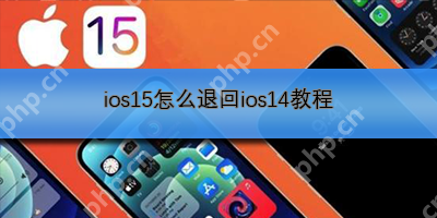 ios15怎么退回ios14教程