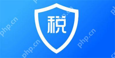 个人所得税纳税记录怎么开具