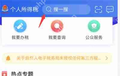 个人所得税纳税记录怎么开具